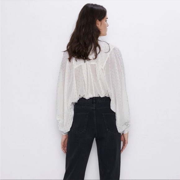 Zara Sheer Polka Dot Blouse - Picture 4 of 9